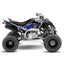 YAMAHA RAPTOR DRIFTER