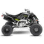 YAMAHA RAPTOR HARDROCK