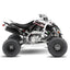 YAMAHA RAPTOR OFFGRID