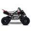 YAMAHA RAPTOR RIDGEBACK