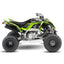 YAMAHA RAPTOR TRAILBLAZER