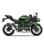 KAWASAKI NINJA ZX-6R BLACKOUT