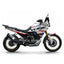VOGE 800 RALLY PATHBREAKER