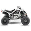 YAMAHA RAPTOR FRONTIER