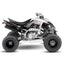 YAMAHA RAPTOR HORIZON