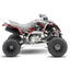 YAMAHA RAPTOR SAVAGE